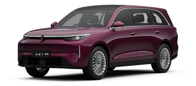 WEY V9X